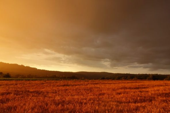 field-sunset-no-att-700×394