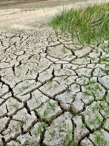 Imagen de Jody Davis en Pixabay