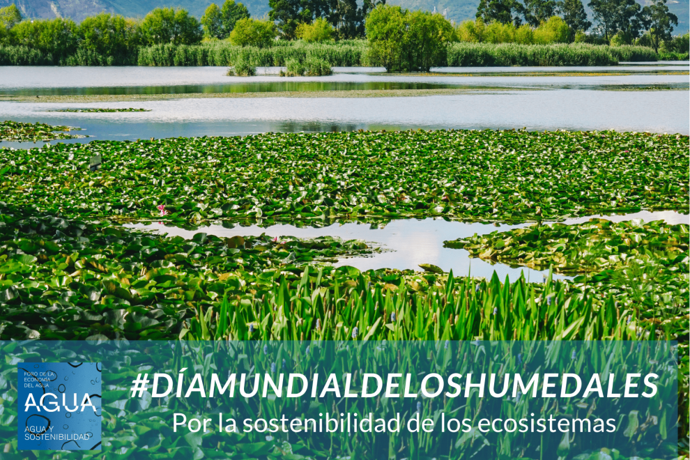 El #DíaMundialDeLosHumedales se celebra el 2 de febrero