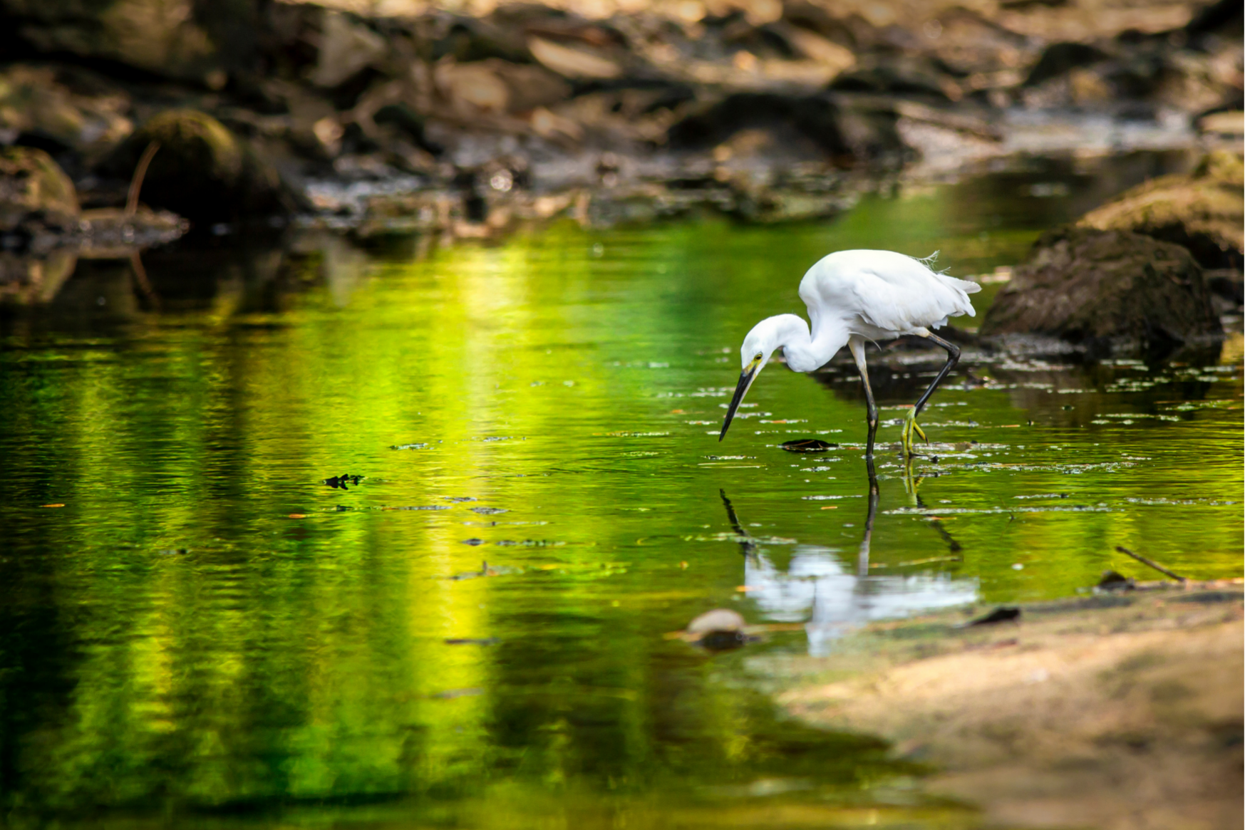 El Foro de la Economía del Agua, a favor de la sostenibilidad de los ecosistemas