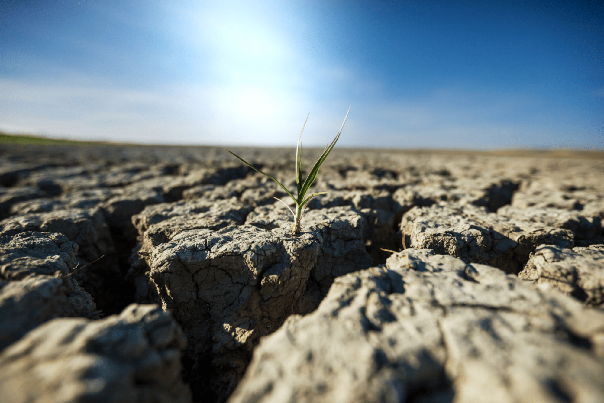 Día Mundial de Lucha contra la Desertificación y Sequía